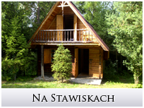Na Stawiskach